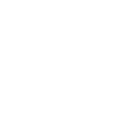 Newsome Academy Logo White