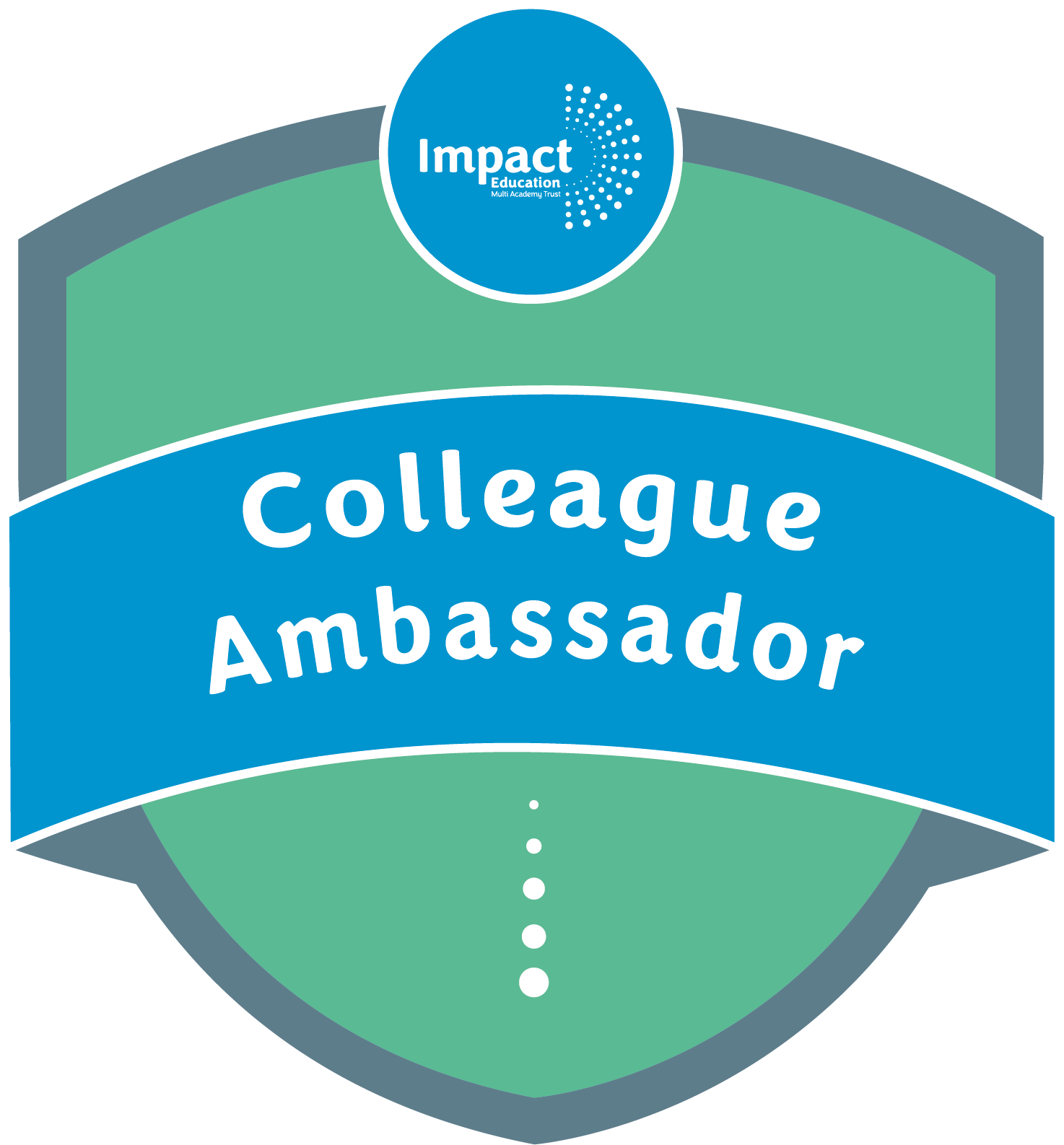 Introducing our Colleague Ambassadors | IEMAT